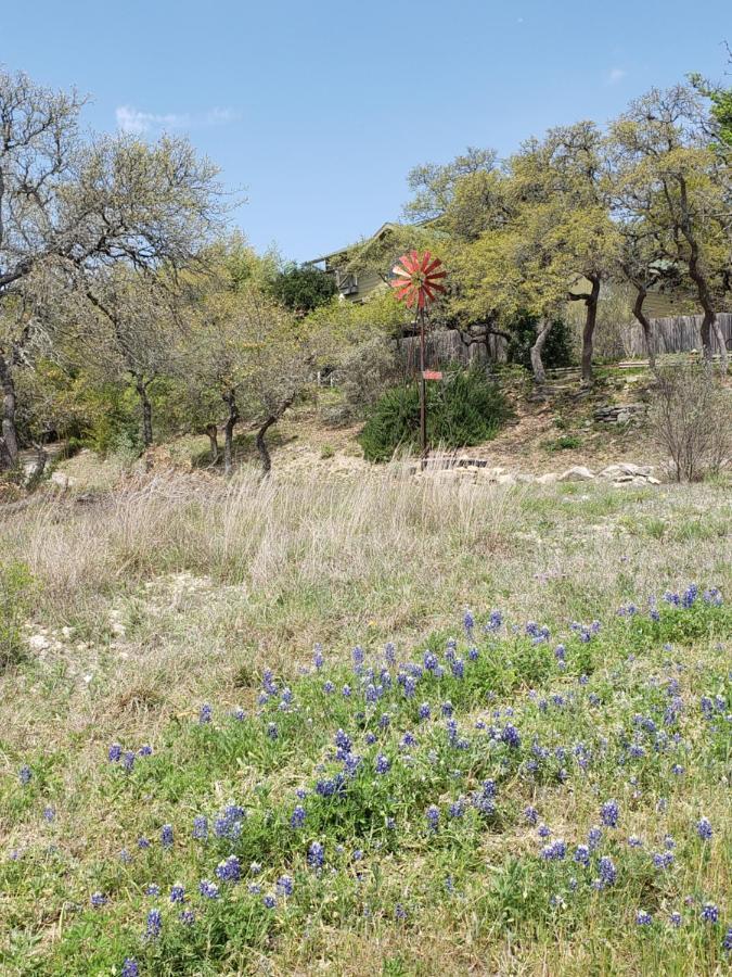 Cabin Sweet Cabin Villa Canyon Lake Exterior foto